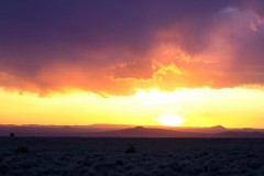 Tarleton-sunset-zoom-1-2-large